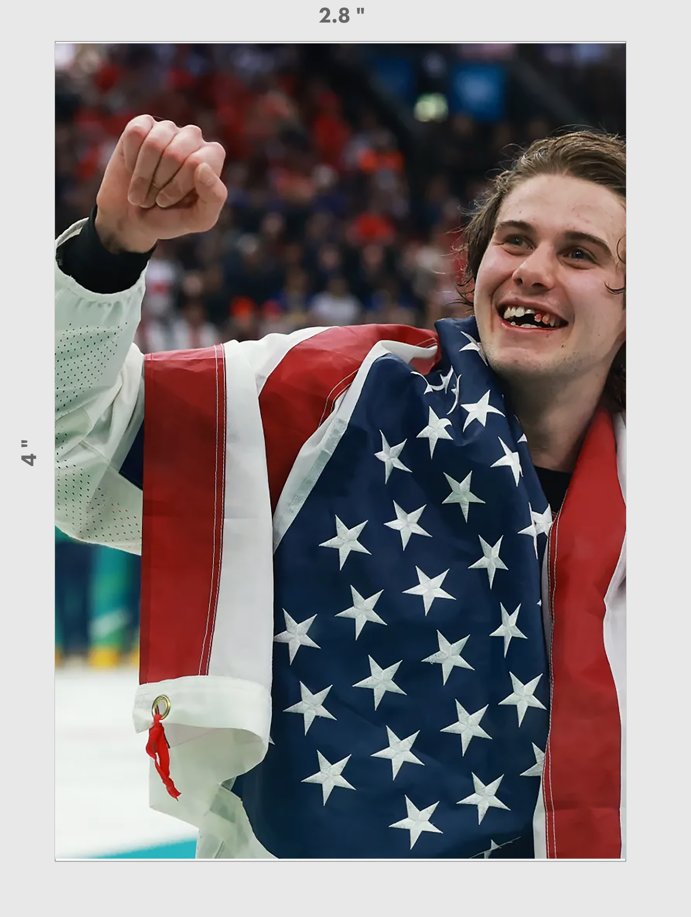 Team USA Hockey Sticker